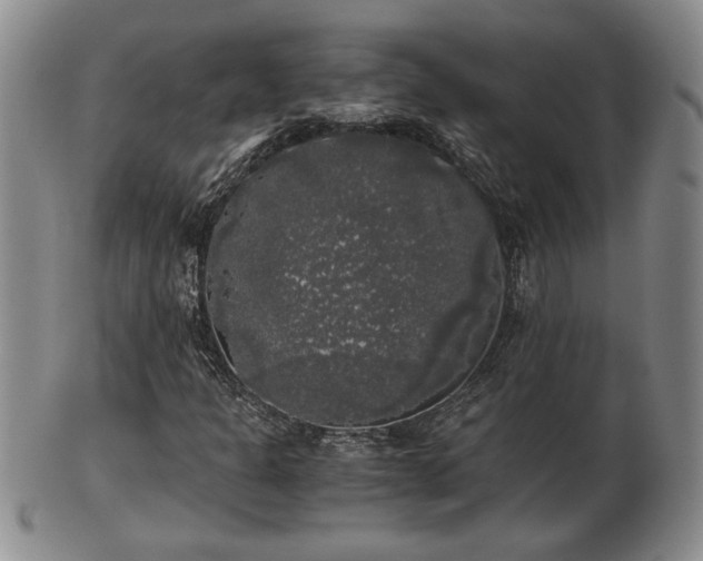 X0000103221301200809040954