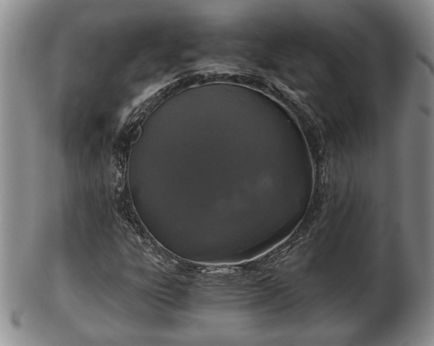 X0000103221303200809040954