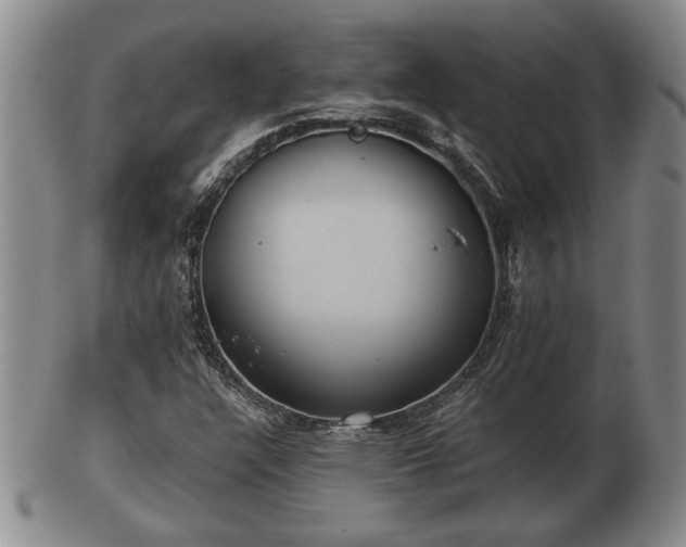 X0000103221304200809040954