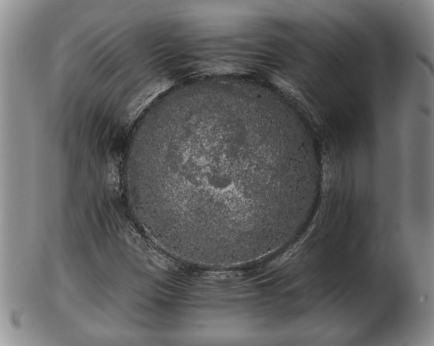 X0000103221305200809040954