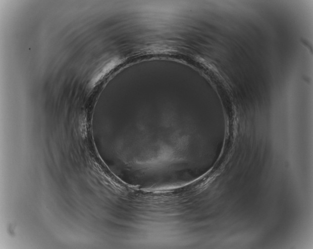 X0000103221306200809040954