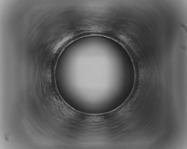 X0000103221307200809040954