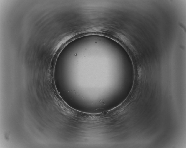 X0000103221308200809040954