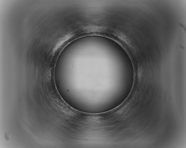 X0000103221309200809040954