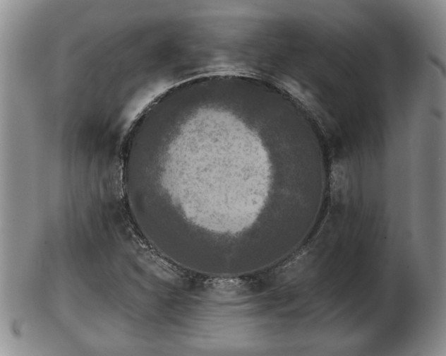 X0000103221310200809040954