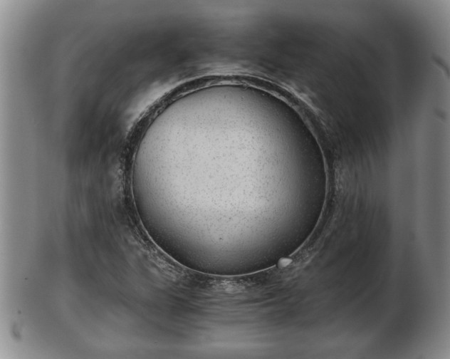 X0000103221311200809040954