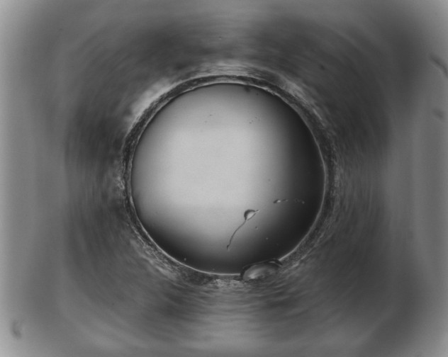 X0000103221312200809040954