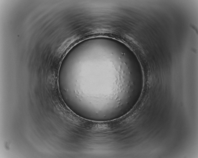 X0000103221313200809040954