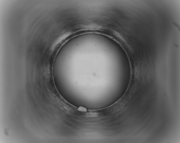 X0000103221315200809040954