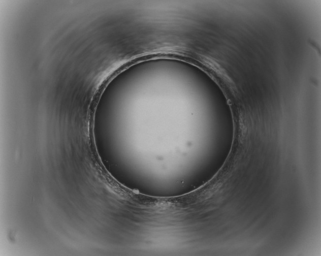 X0000103221316200809040954