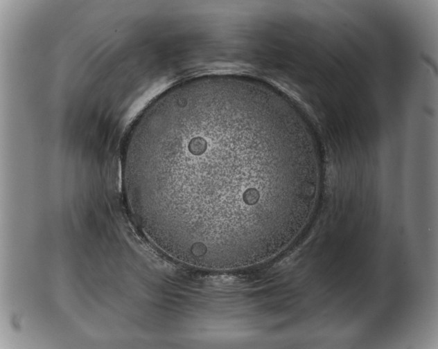 X0000103221317200809040954