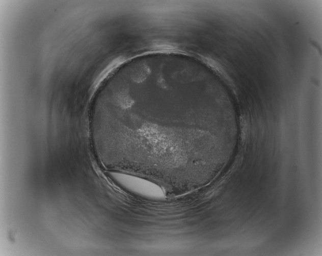 X0000103221318200809040954