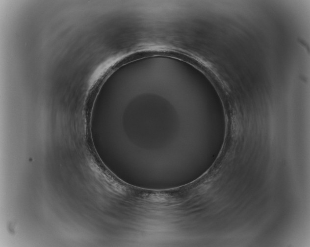 X0000103221319200809040954