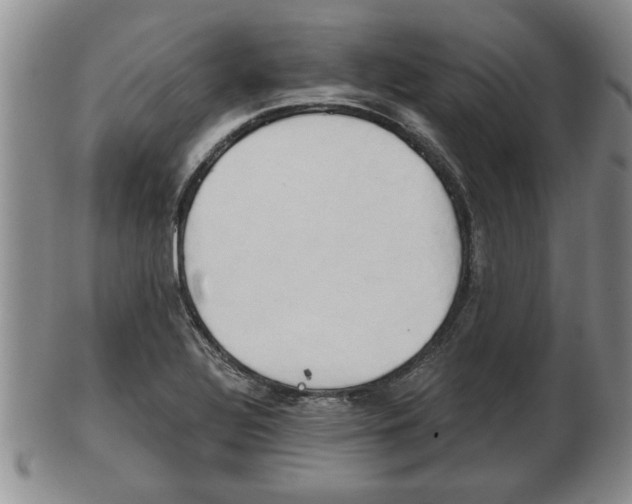 X0000103221320200809040954