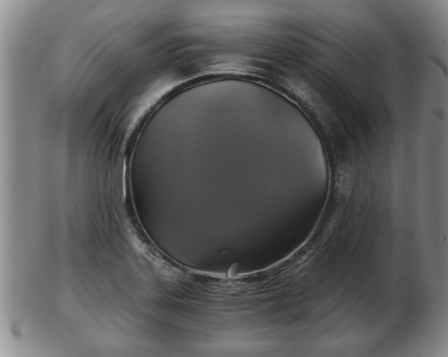 X0000103221323200809040954