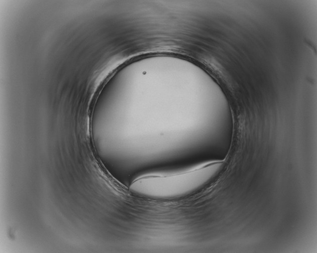 X0000103221324200809040954