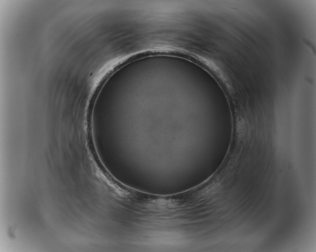 X0000103221327200809040954