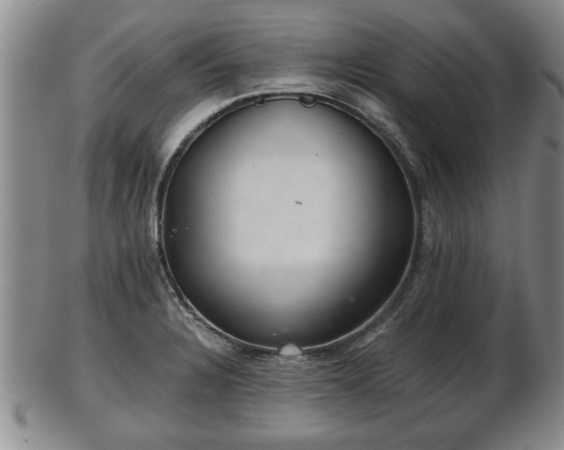 X0000103221328200809040954