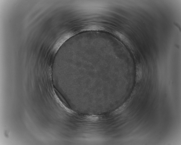 X0000103221329200809040954