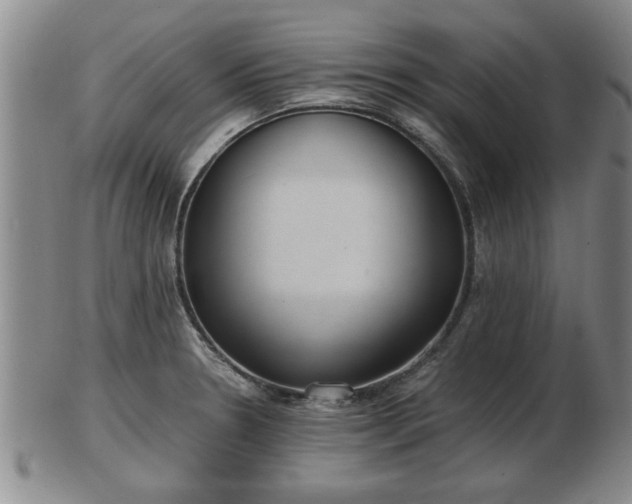 X0000103221330200809040954