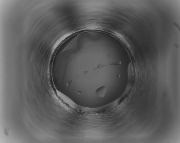 X0000103221331200809040954