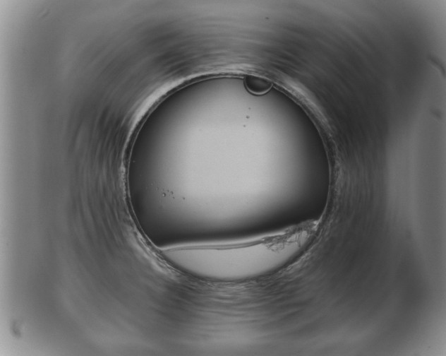 X0000103221332200809040954