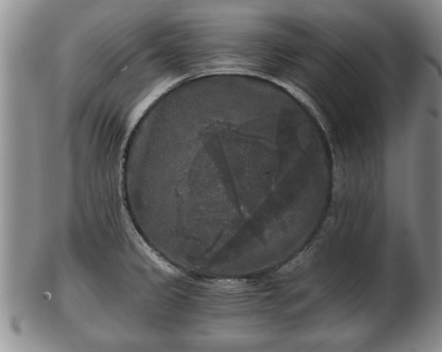 X0000103221333200809040954