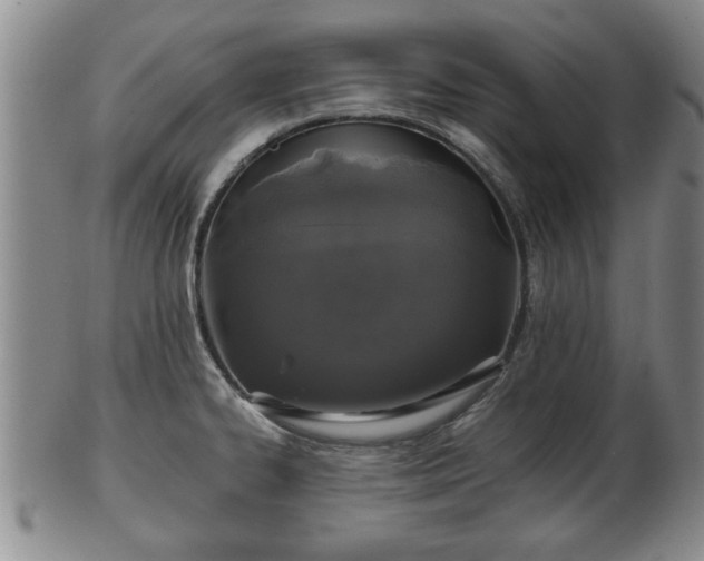 X0000103221334200809040954