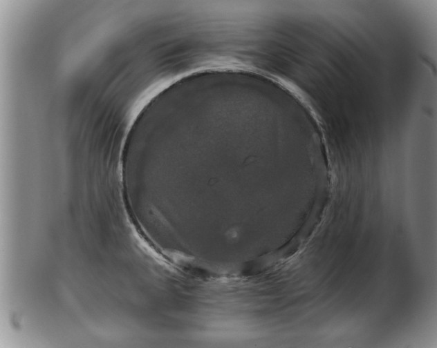 X0000103221335200809040954