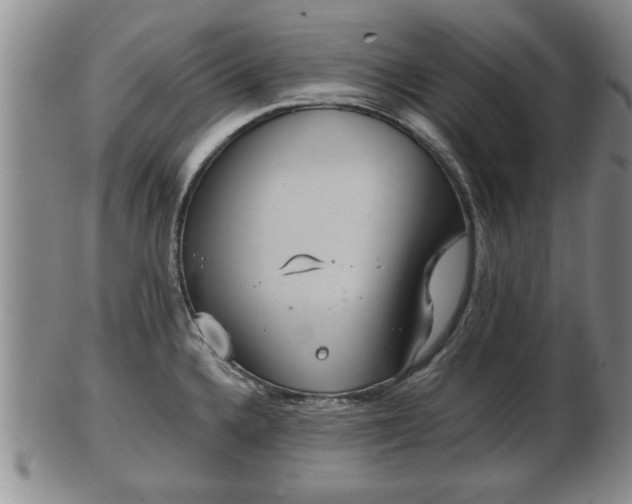 X0000103221336200809040954