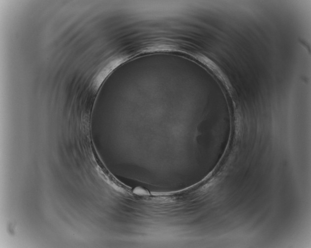 X0000103221337200809040954