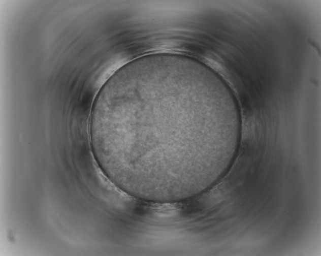 X0000103221338200809040954