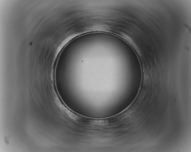 X0000103221339200809040954