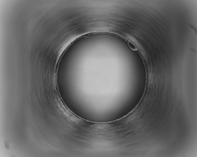 X0000103221340200809040954