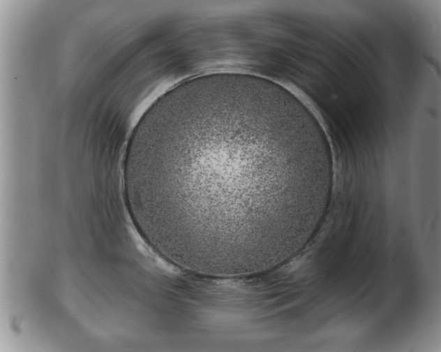 X0000103221341200809040954