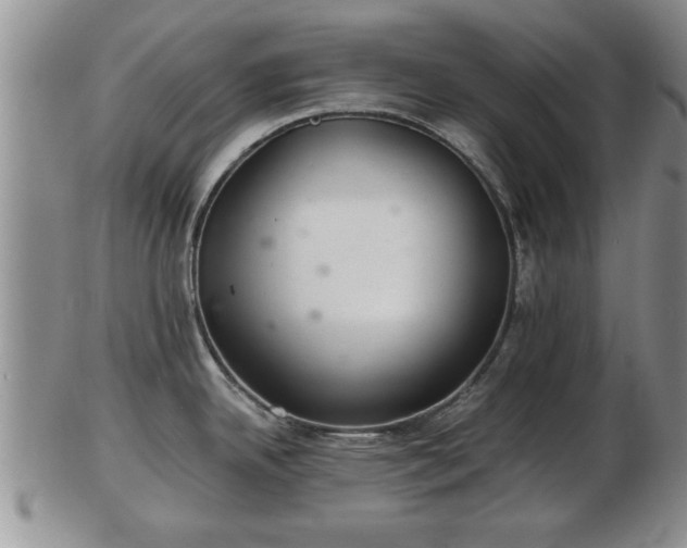 X0000103221342200809040954