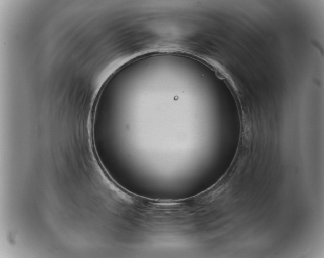 X0000103221343200809040954