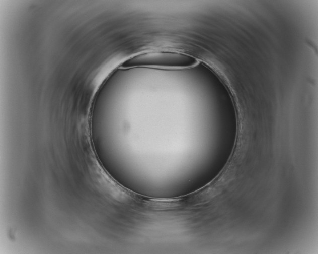 X0000103221344200809040954