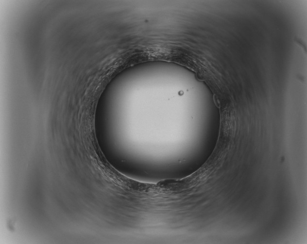 X0000103221345200809040954