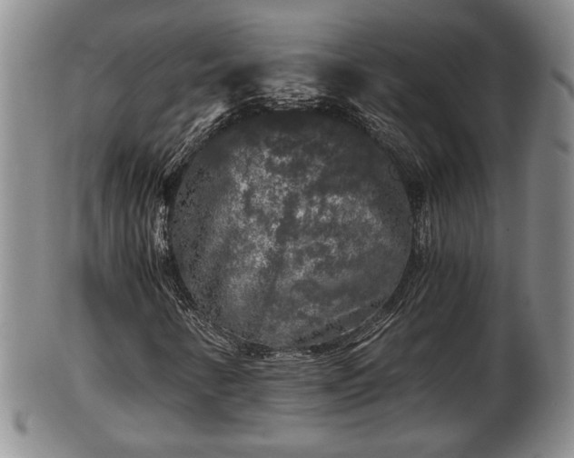 X0000103221346200809040954