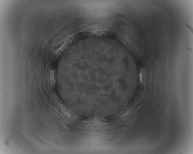 X0000103221347200809040954