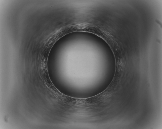 X0000103221349200809040954