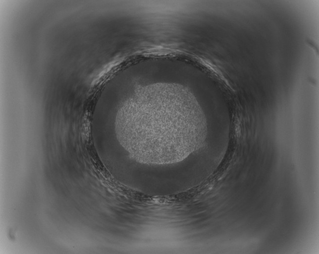 X0000103221350200809040954