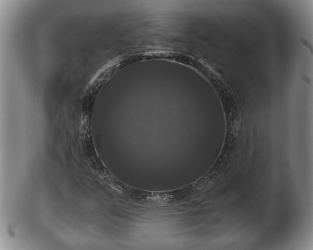 X0000103221351200809040954