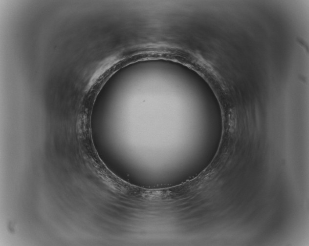 X0000103221352200809040954