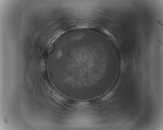 X0000103221353200809040954