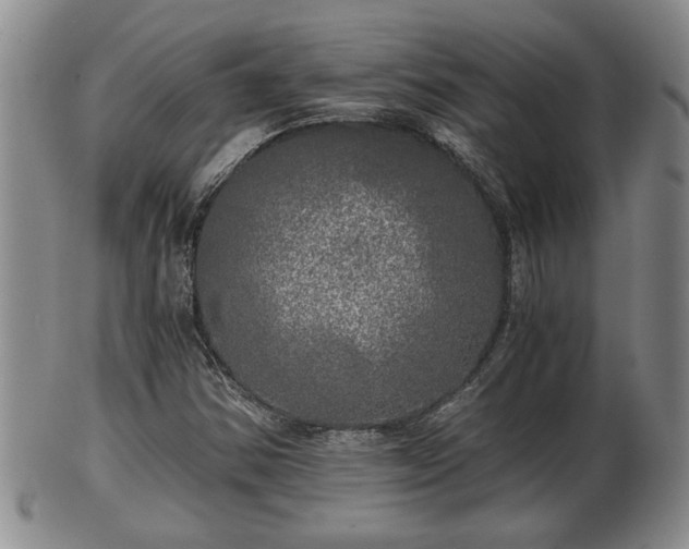 X0000103221354200809040954