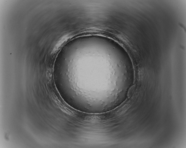 X0000103221355200809040954