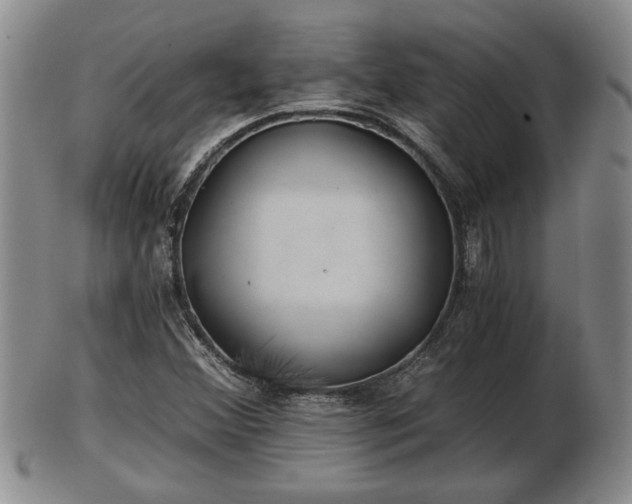 X0000103221356200809040954