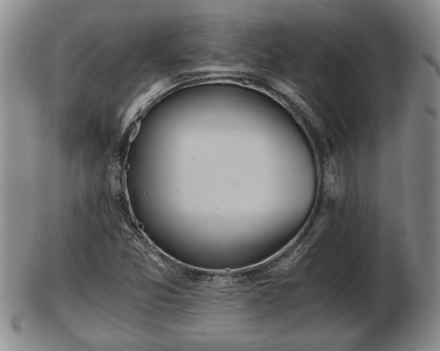 X0000103221357200809040954